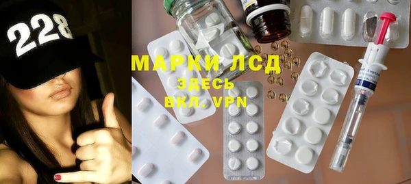 соль ск Новозыбков