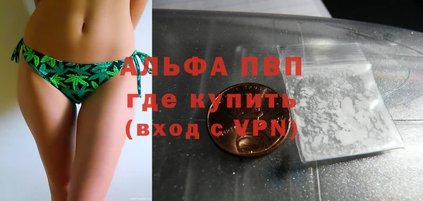 соль ск Новозыбков