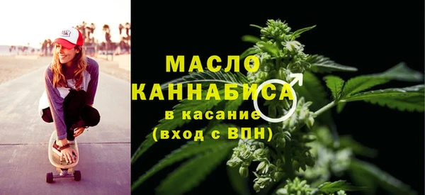 соль ск Новозыбков