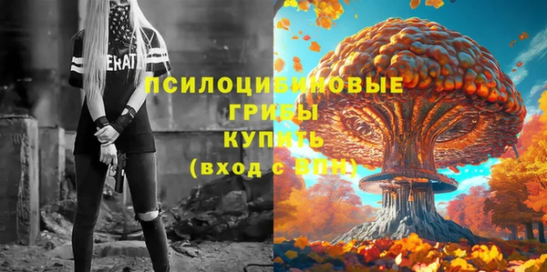 прущие грибы Новодвинск