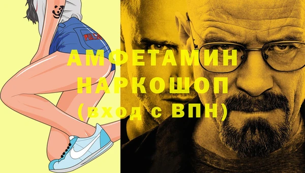 прущие грибы Новодвинск