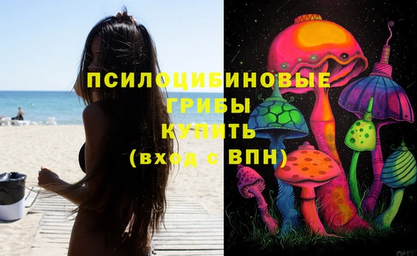 соль ск Новокубанск