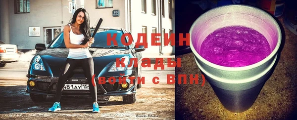 соль ск Новозыбков
