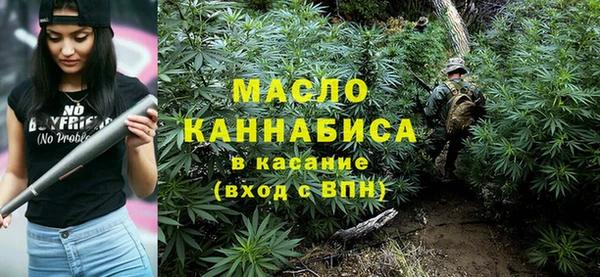 соль ск Новозыбков