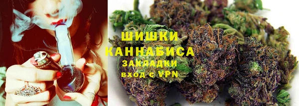 прущие грибы Новодвинск