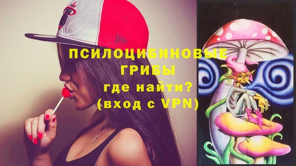 соль ск Новозыбков