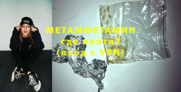 прущие грибы Новодвинск