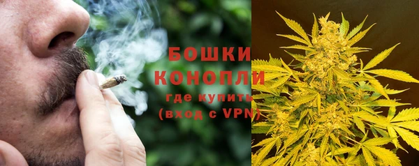 соль ск Новозыбков