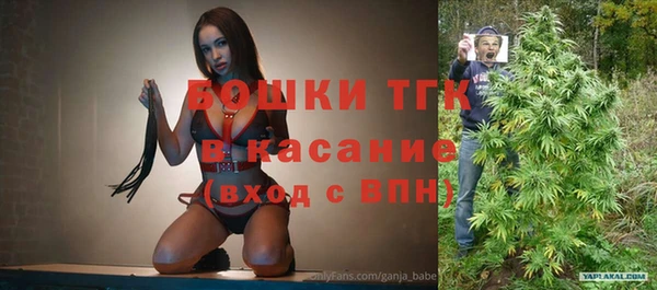 прущие грибы Новодвинск