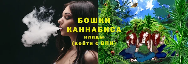 прущие грибы Новодвинск