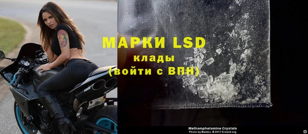 прущие грибы Новодвинск