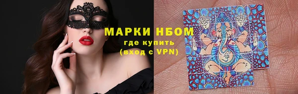 соль ск Новозыбков