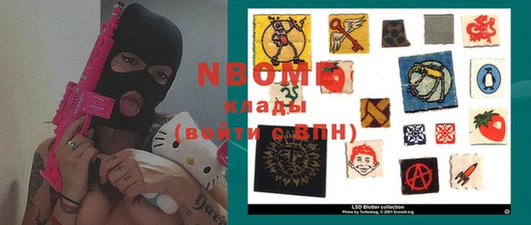 прущие грибы Новодвинск