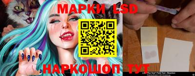 СК Апшеронск