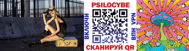 Псилоцибиновые грибы мицелий  продажа наркотиков  Севастополь 