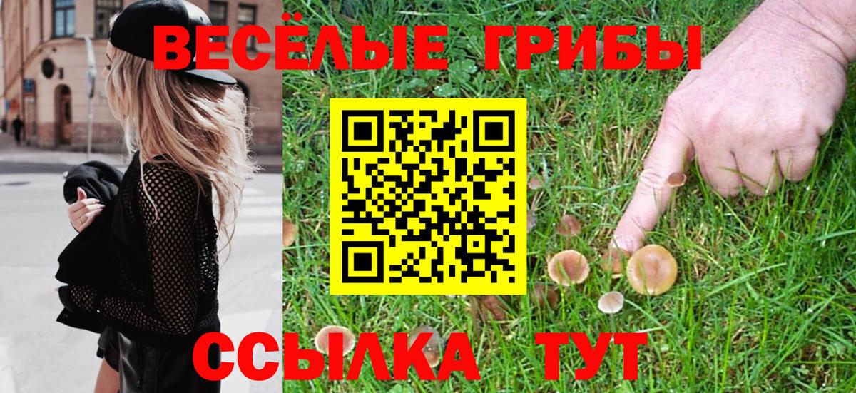 Галлюциногенные грибы Cubensis  Вход с VPN  Севастополь  Галлюциногенные грибы мицелий 