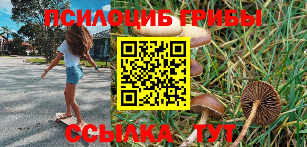Псилоцибиновые грибы MAGIC MUSHROOMS  купить наркотики сайты  Севастополь 