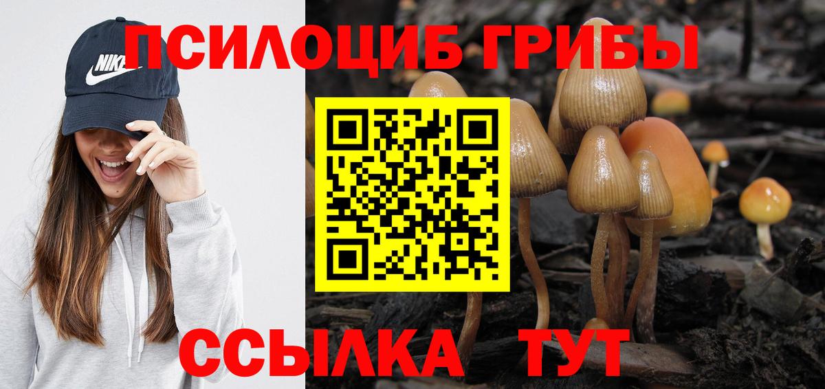Галлюциногенные грибы GOLDEN TEACHER Севастополь